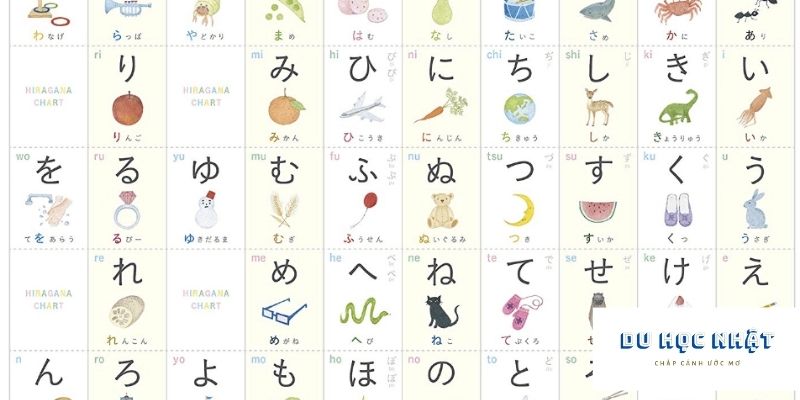 Học bảng chữ cái Tiếng Nhật qua hình ảnh minh họa