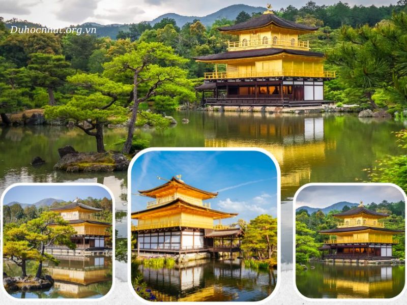 Chùa Vàng Ở Đâu Nhật Bản? Tìm Hiểu Chùa Vàng Kinkaku-ji Nhật Bản